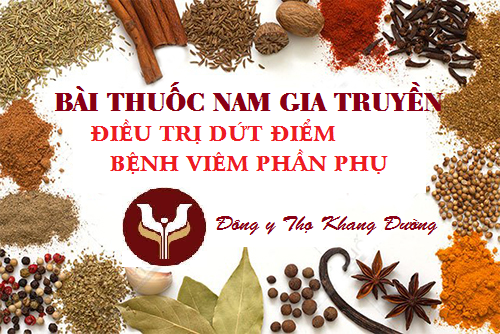 bai-thuoc-dong-y-dieu-tri-dut-diem-benh-viem-phan-phu-khong-lo-tai-phat-1
